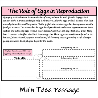 The Role of Eggs in Reproduction | Main Idea and Supporting Details Reading Passage and Questions