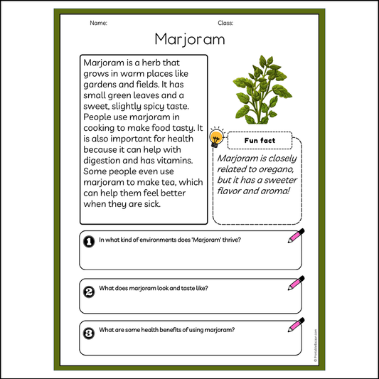 Marjoram | Reading Passage Comprehension Questions Writing Facts Worksheet