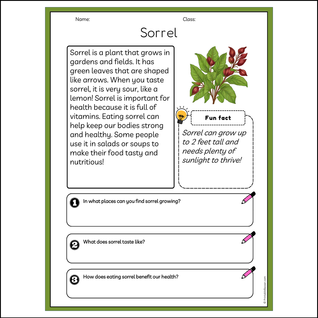 Sorrel | Reading Passage Comprehension Questions Writing Facts Worksheet