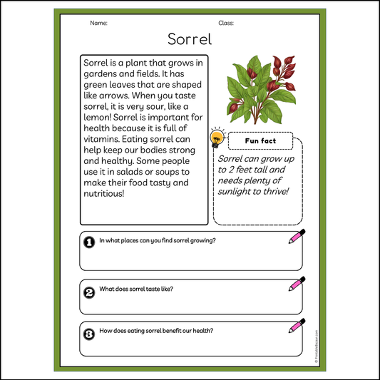 Sorrel | Reading Passage Comprehension Questions Writing Facts Worksheet