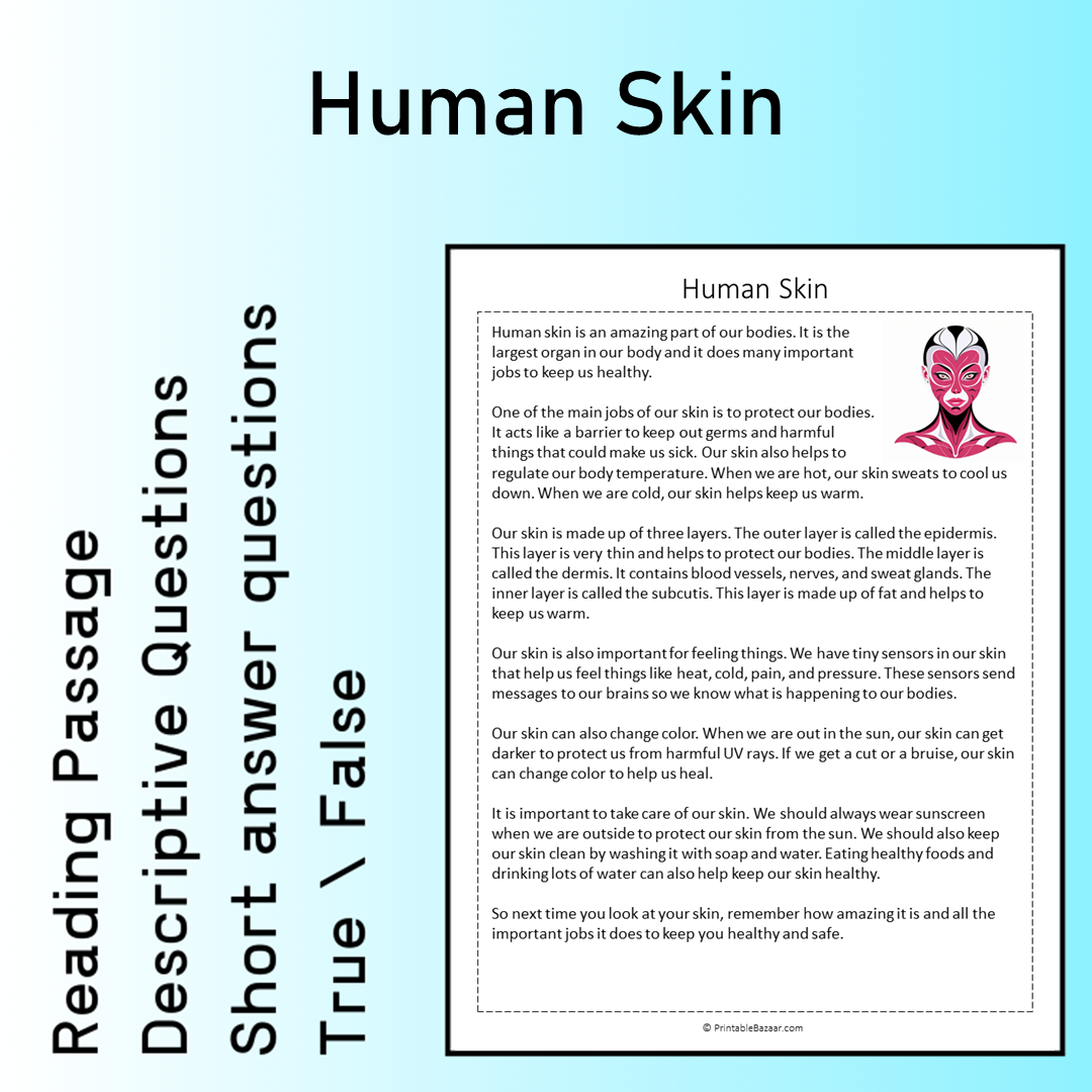 Human Skin | Reading Comprehension Passage Printable Worksheet