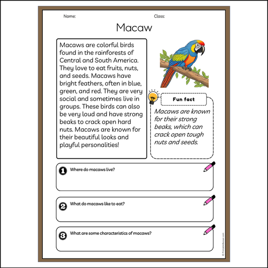 Macaw | Reading Passage Comprehension Questions Writing Facts Worksheet