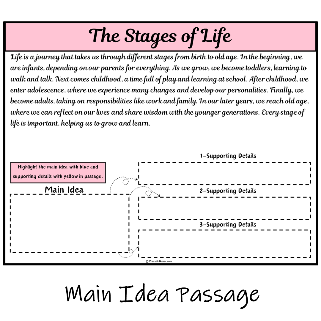 The Stages of Life | Main Idea and Supporting Details Reading Passage and Questions