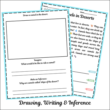 Camels in Deserts | Short Reading Comprehension Creative Worksheet