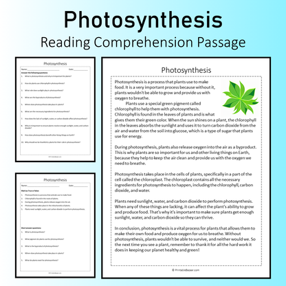 Photosynthesis | Reading Comprehension Passage Printable Worksheet