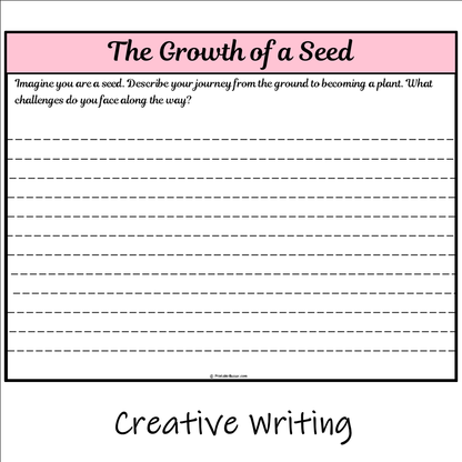 The Growth of a Seed | Main Idea and Supporting Details Reading Passage and Questions