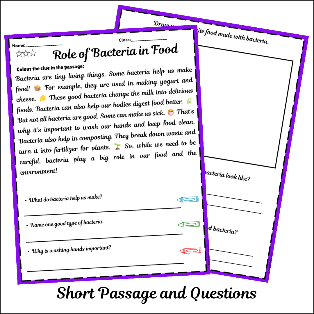Role of Bacteria in Food | Short Reading Comprehension Creative Worksheet
