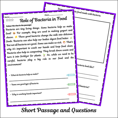 Role of Bacteria in Food | Short Reading Comprehension Creative Worksheet
