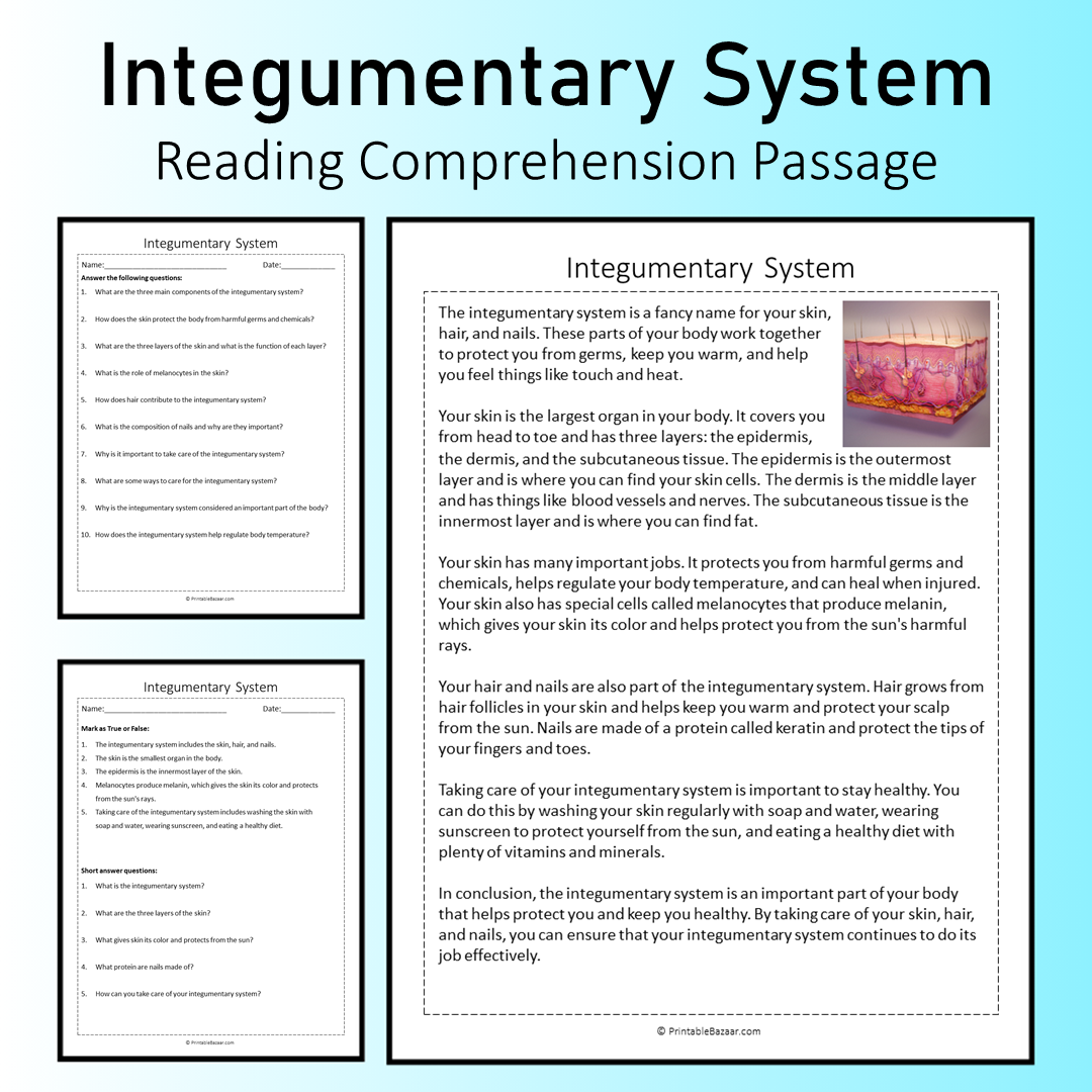 Integumentary System | Reading Comprehension Passage Printable Worksheet