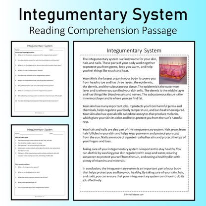 Integumentary System | Reading Comprehension Passage Printable Worksheet