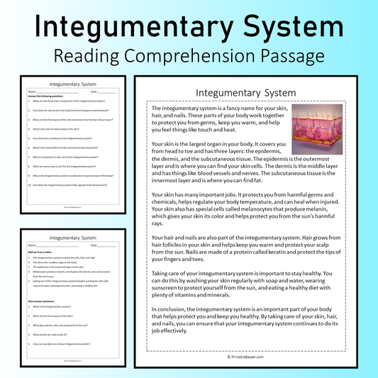 Integumentary System | Reading Comprehension Passage Printable Worksheet