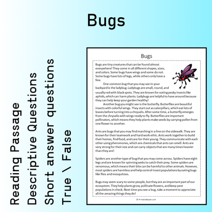 Bugs | Reading Comprehension Passage Printable Worksheet