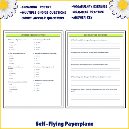 Self-Flying Paperplane | Poem Grammar Worksheet Printable Activity