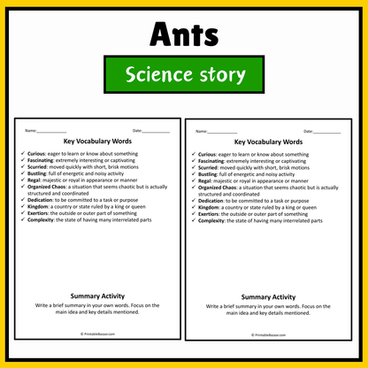 Ants | Science Story Reading Comprehension Activity