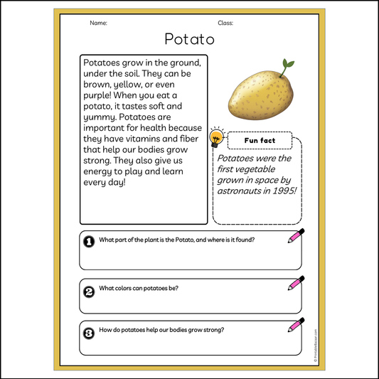 Potato | Reading Passage Comprehension Questions Writing Facts Worksheet