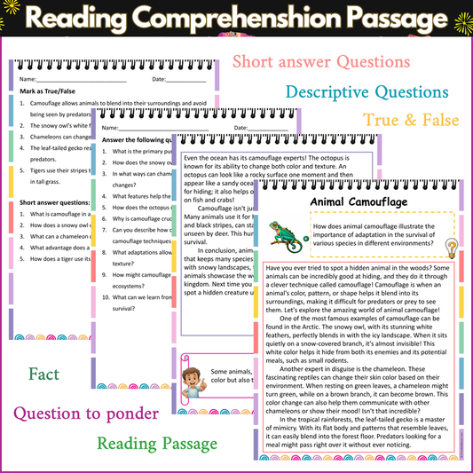 Animal Camouflage | Reading Comprehension Passage and Questions