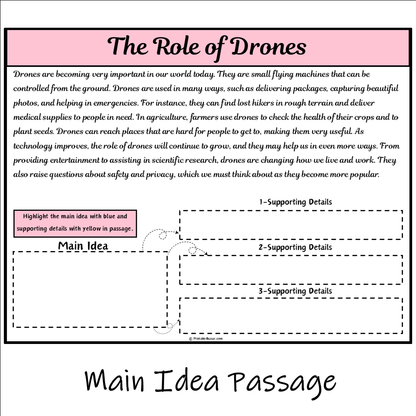 The Role of Drones | Main Idea and Supporting Details Reading Passage and Questions