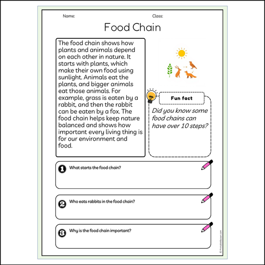 Food Chain | Reading Passage Comprehension Questions Writing Facts Worksheet