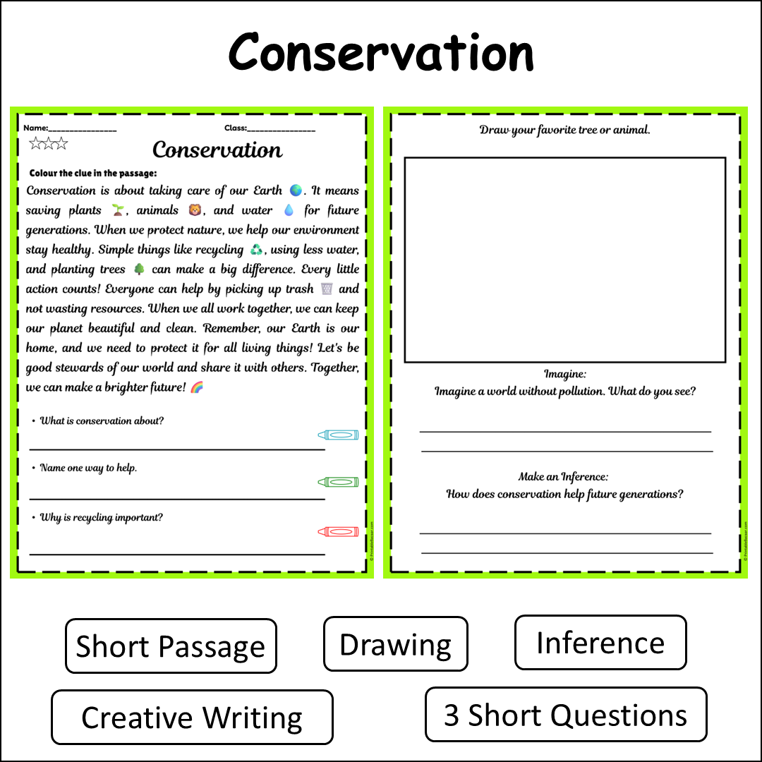 Conservation | Short Reading Comprehension Creative Worksheet