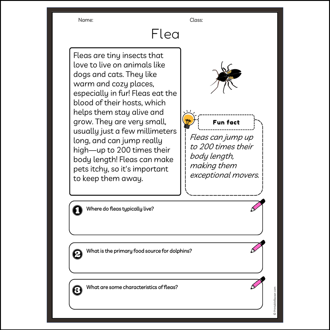 Flea | Reading Passage Comprehension Questions Writing Facts Worksheet
