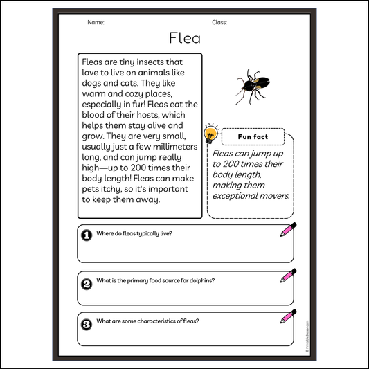 Flea | Reading Passage Comprehension Questions Writing Facts Worksheet