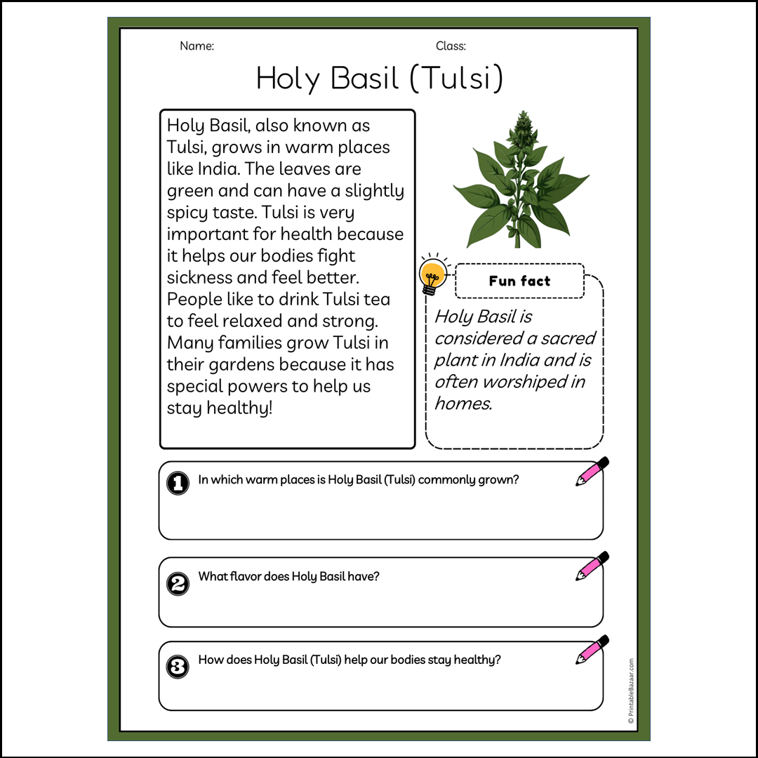 Holy Basil (Tulsi) | Reading Passage Comprehension Questions Writing Facts Worksheet