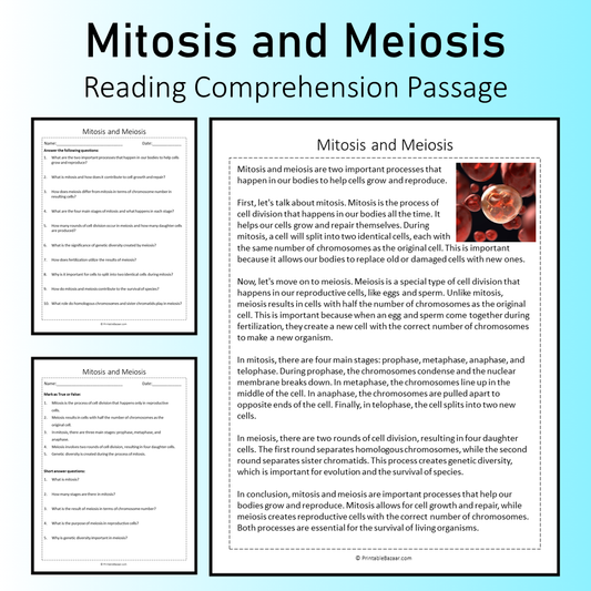 Mitosis and Meiosis | Reading Comprehension Passage Printable Worksheet
