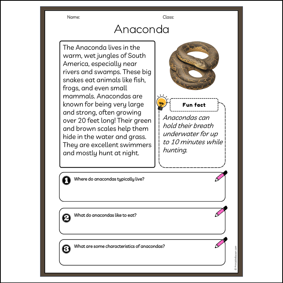 Anaconda | Reading Passage Comprehension Questions Writing Facts Worksheet