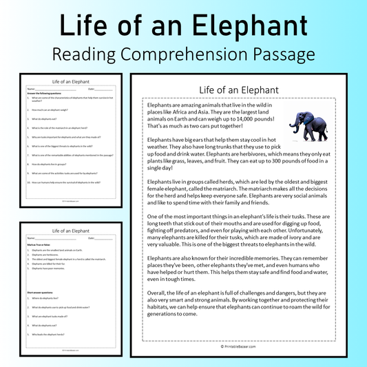 Life of an Elephant | Reading Comprehension Passage Printable Worksheet