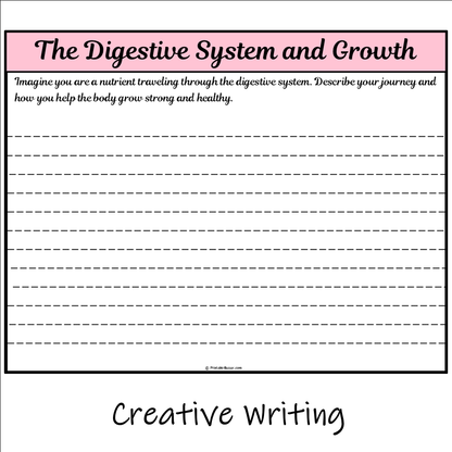 The Digestive System and Growth | Main Idea and Supporting Details Reading Passage and Questions