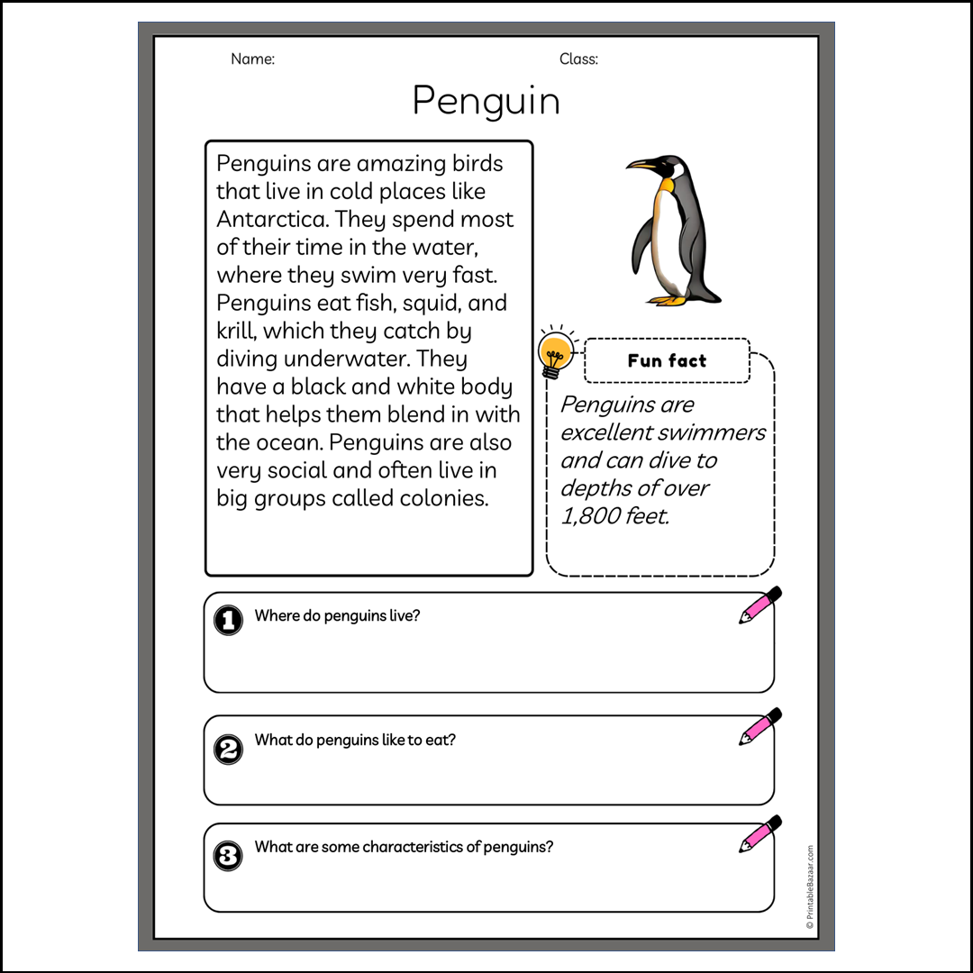 Penguin | Reading Passage Comprehension Questions Writing Facts Worksheet