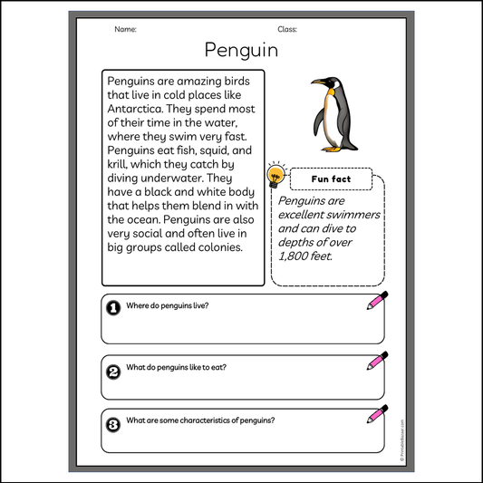 Penguin | Reading Passage Comprehension Questions Writing Facts Worksheet