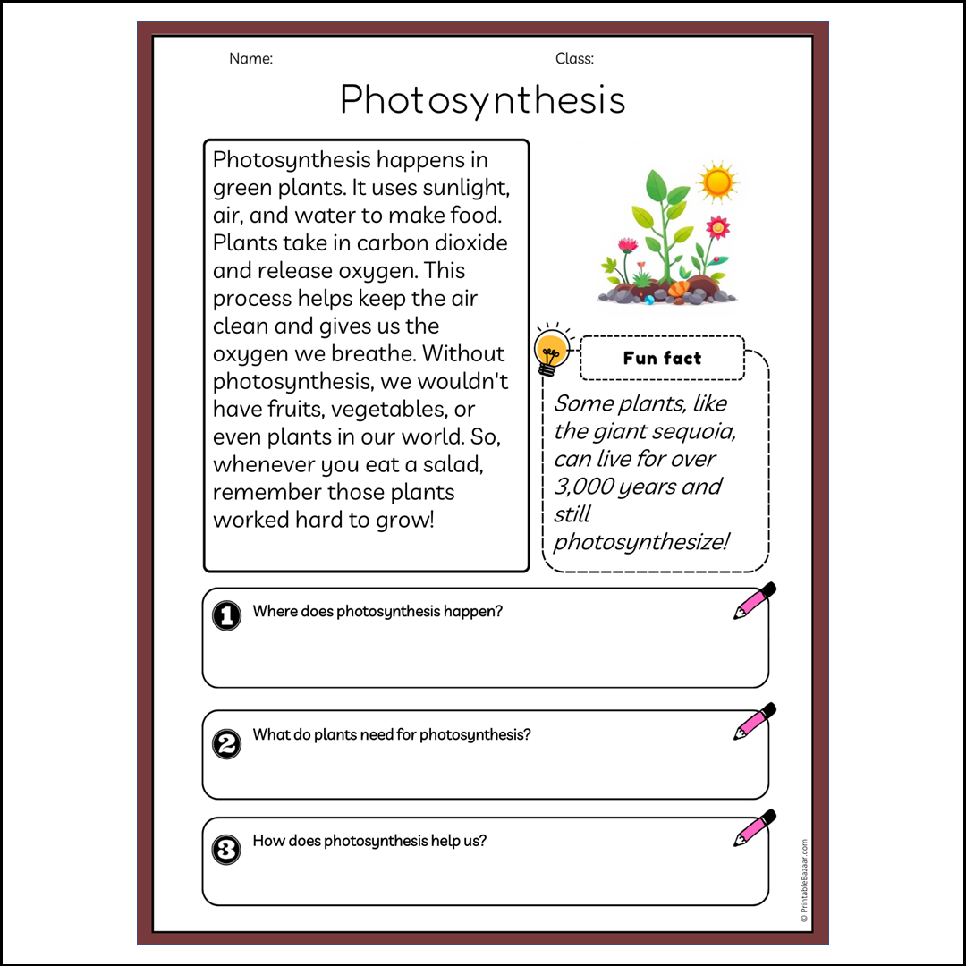 Photosynthesis | Reading Passage Comprehension Questions Writing Facts Worksheet