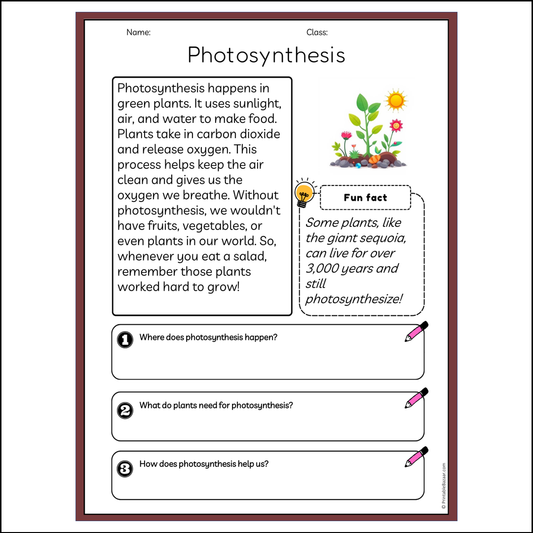 Photosynthesis | Reading Passage Comprehension Questions Writing Facts Worksheet