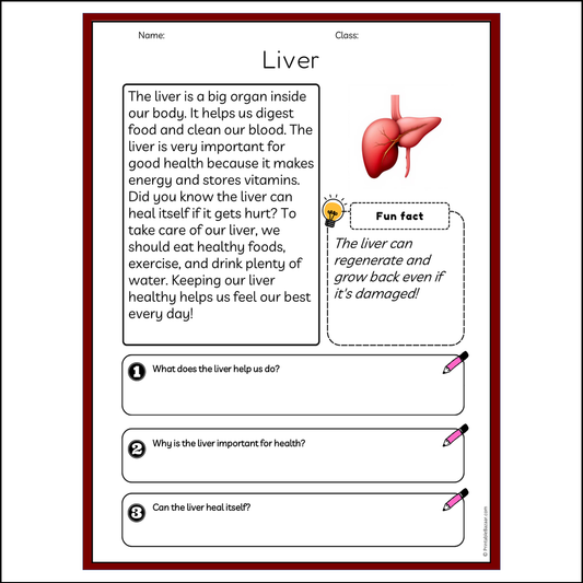 Liver | Reading Passage Comprehension Questions Writing Facts Worksheet