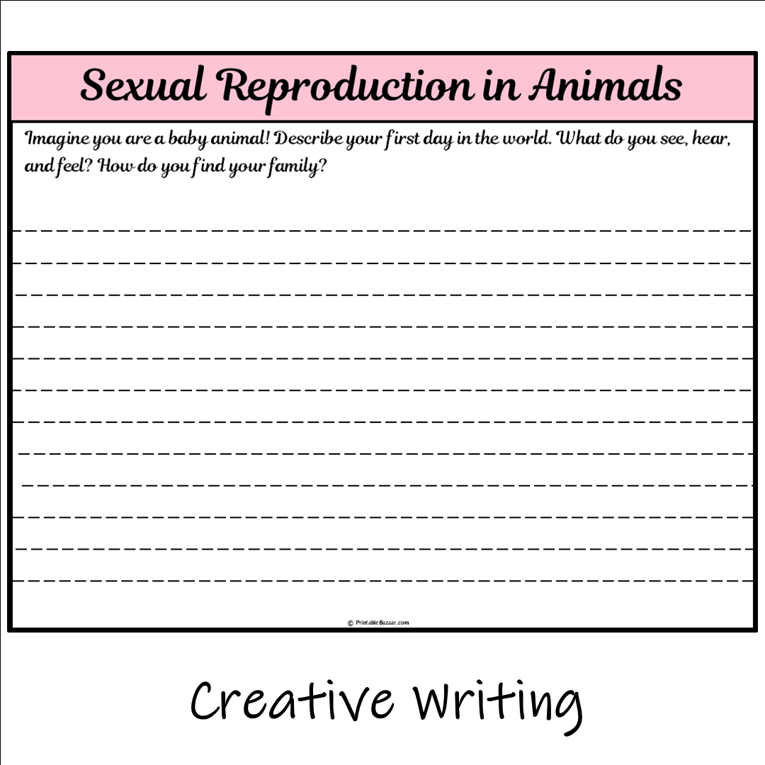 Sexual Reproduction in Animals | Main Idea and Supporting Details Reading Passage and Questions