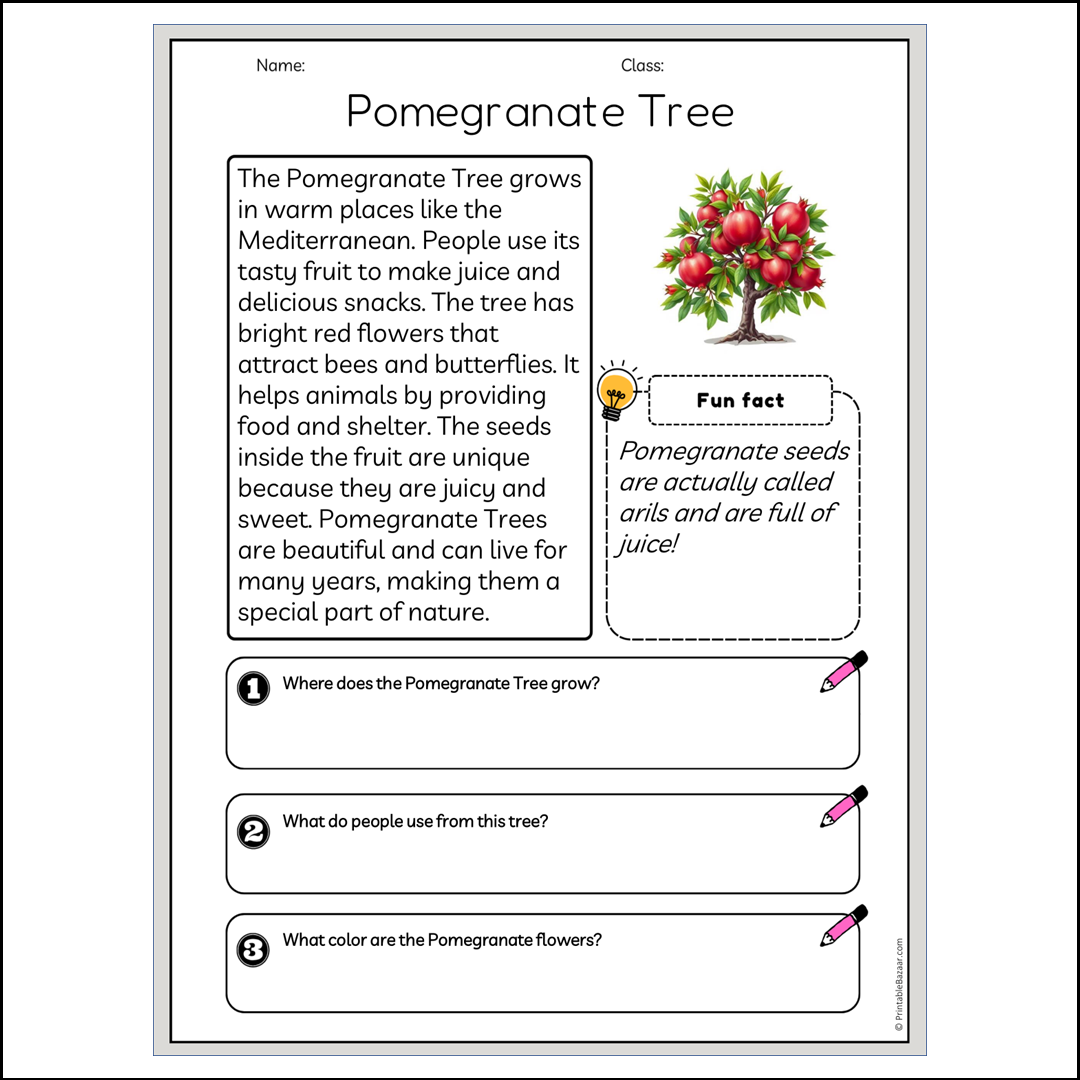 Pomegranate Tree | Reading Passage Comprehension Questions Writing Facts Worksheet