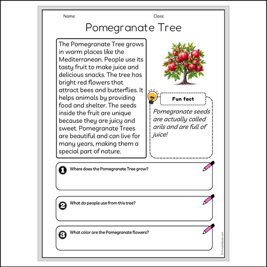 Pomegranate Tree | Reading Passage Comprehension Questions Writing Facts Worksheet