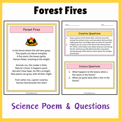 Forest Fires | Science Poem Reading Comprehension Activity