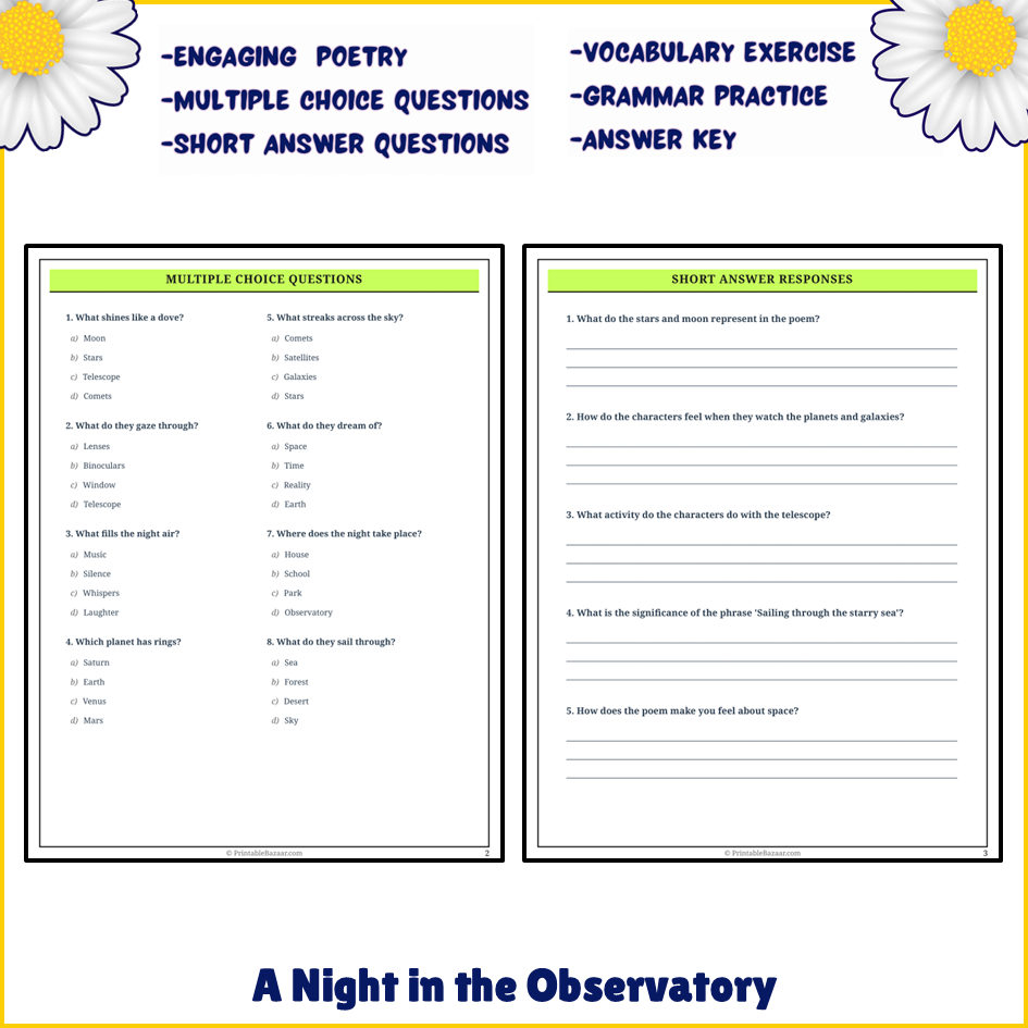 A Night in the Observatory | Poem Grammar Worksheet Printable Activity