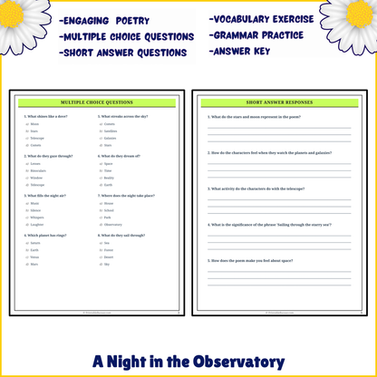 A Night in the Observatory | Poem Grammar Worksheet Printable Activity