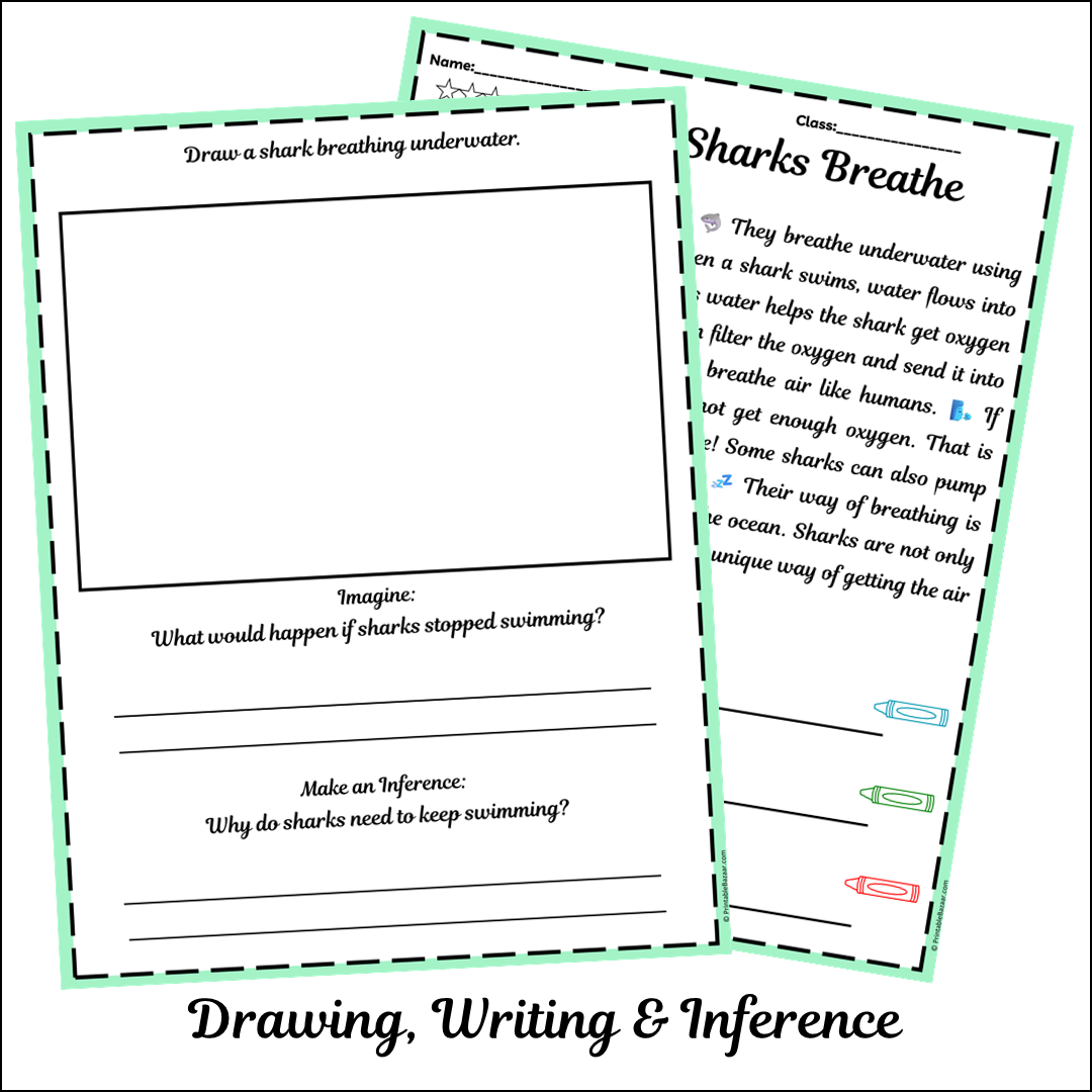 How Sharks Breathe | Short Reading Comprehension Creative Worksheet