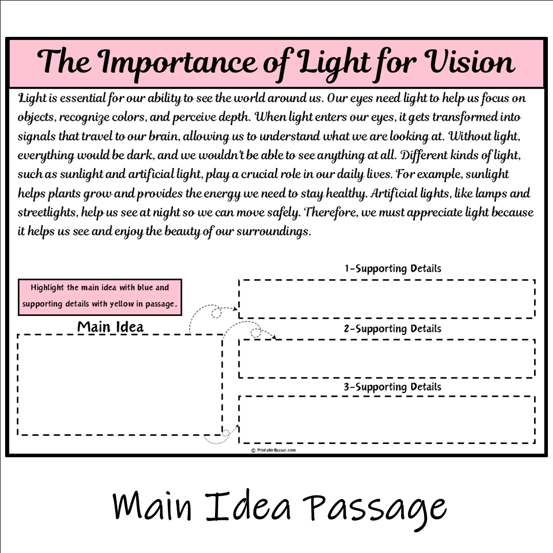 The Importance of Light for Vision | Main Idea and Supporting Details Reading Passage and Questions