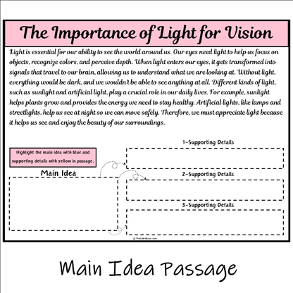 The Importance of Light for Vision | Main Idea and Supporting Details Reading Passage and Questions