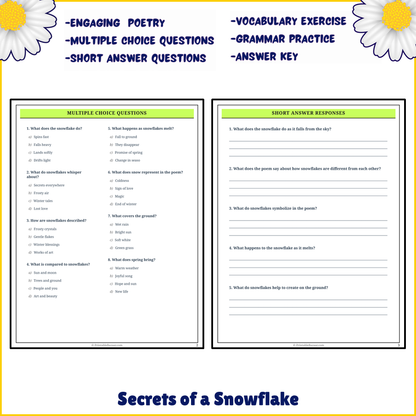 Secrets of a Snowflake | Poem Grammar Worksheet Printable Activity