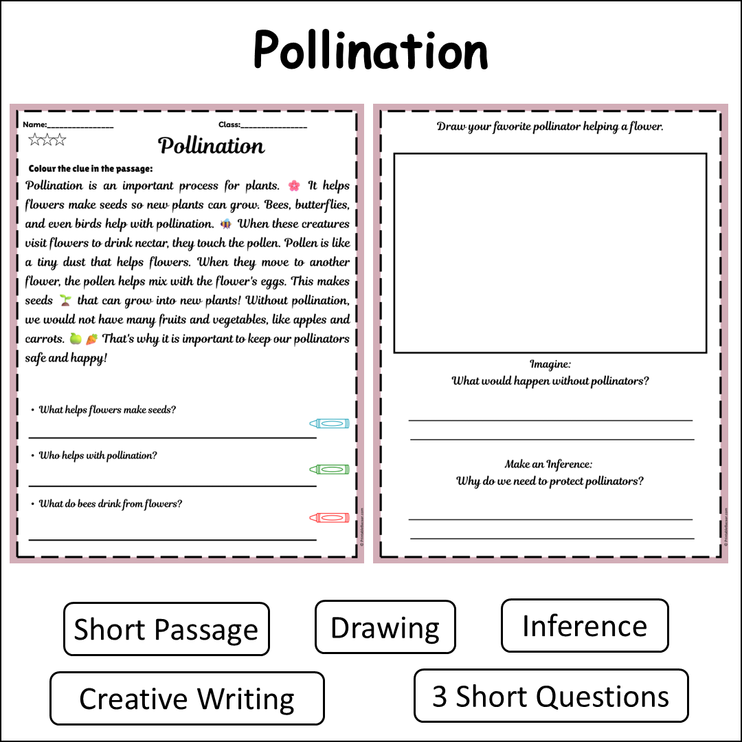 Pollination | Short Reading Comprehension Creative Worksheet