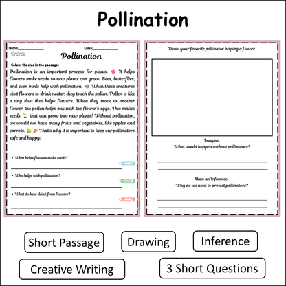Pollination | Short Reading Comprehension Creative Worksheet