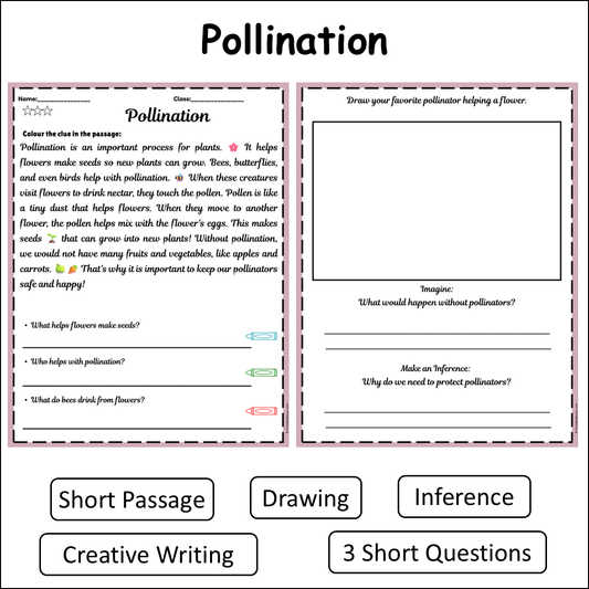Pollination | Short Reading Comprehension Creative Worksheet