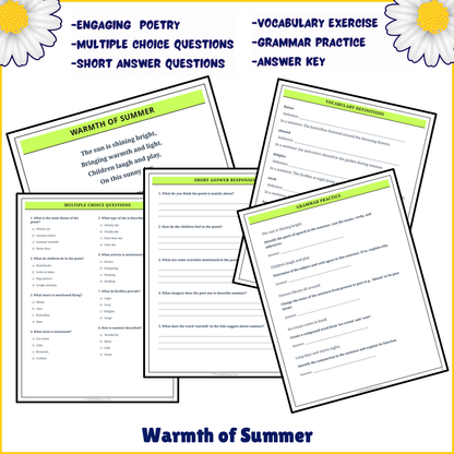 Warmth of Summer | Poem Grammar Worksheet Printable Activity