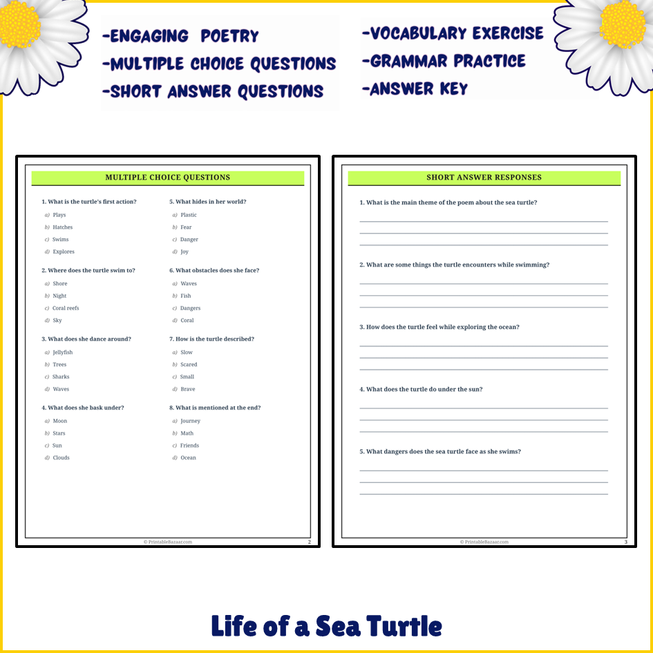 Life of a Sea Turtle | Poem Grammar Worksheet Printable Activity